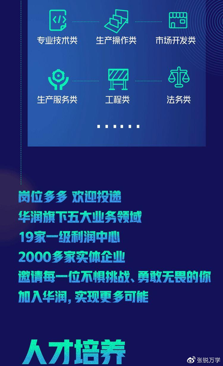 招聘专业人才网站官网，构建高效人才招聘平台的基石