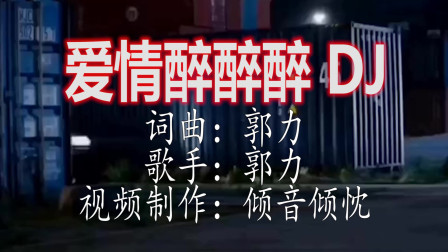 中文DJ老歌大全100首，网络火爆歌曲的回响